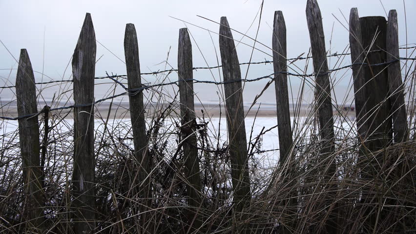 A fence at the dunes at the beach in winter of zandvoort The Netherlands