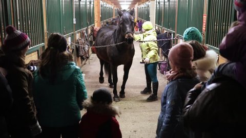 VASILYEVSKOYE, MOSCOW REGION, RUSSIA - FEB 5, 2017: Horse in the stable and eight people in Provence hotel Four seasons