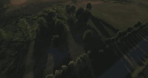 Flying above green trees and shadows at dusk