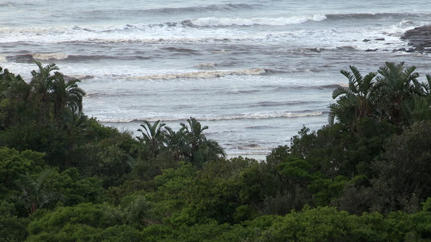 Tropical coastal vegetation and sea along the Transkei Wild Coast AT Msikaba