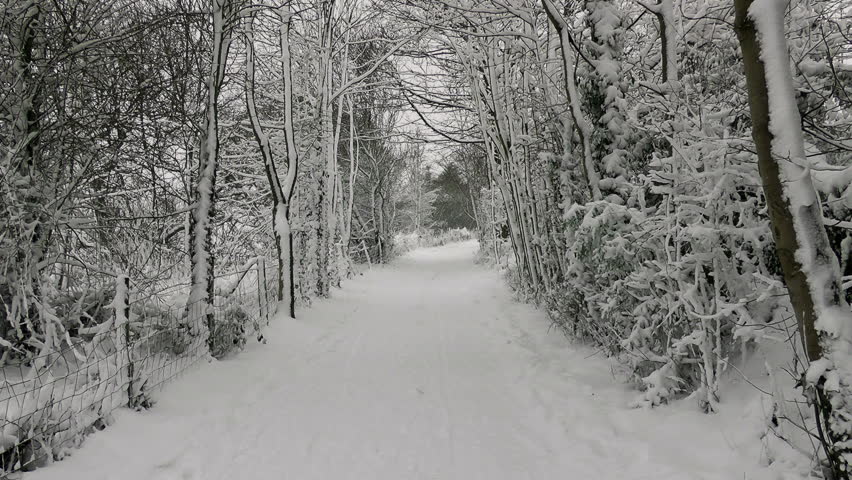 Winter Country Lane.
A picturesque scene of a snow filled Country lane.