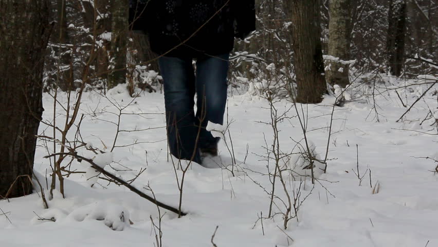 Walking in the winter forest /  Woman walking in the winter forest ....
