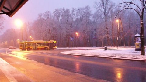 Snow In Tree with Snow, Lodz Poland Thursday, November 30, 2017