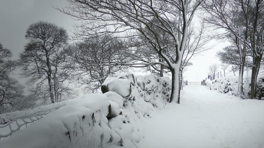 Winter Drystone Wall.
A snow covered Drystone wall situated in rural England.