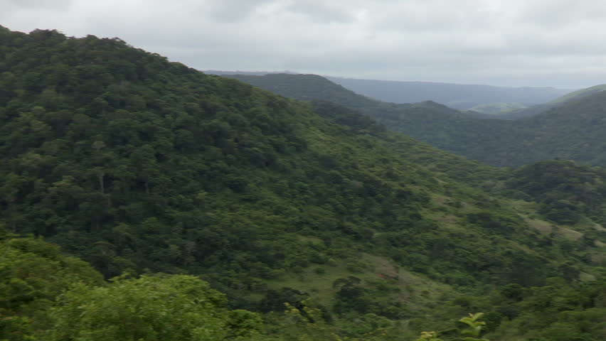 A wide pan of a valley of indigenous forest near Monteku, in the Transkei