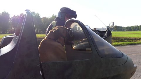 mastiff dog rides in motorcycle sidecar looks at you and drives away 4k slow