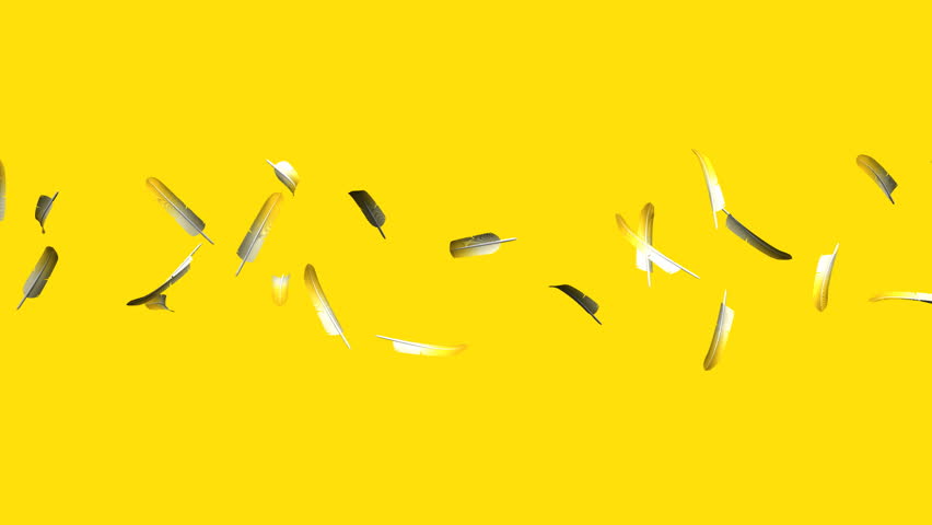 yellow feathers on background Stock Footage Video (100% Royalty-free