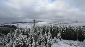 Oregon Winter Weather HD Video