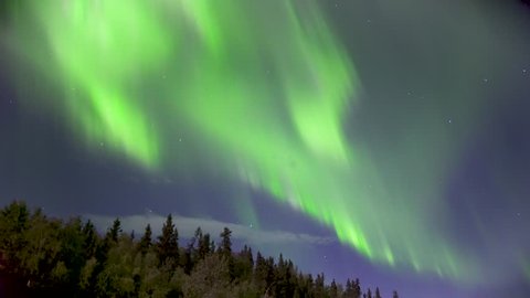 Aurora Borealis (Northern Lights) Dancing Over Trees in Alaska in Real Time (not timelapse)