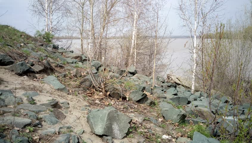Beautiful spring landscape, rocky river bank with trees