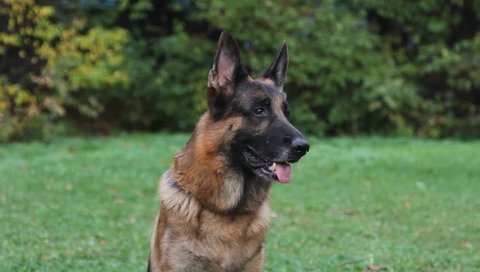 2015 04 15 Israel 2015 April 15 Stock Footage Video 100 Royalty Free 17455759 Shutterstock