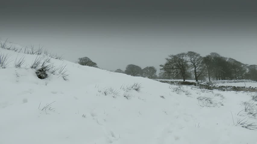 Winter Field
A Winter Scene of a Yorkshire Moor.