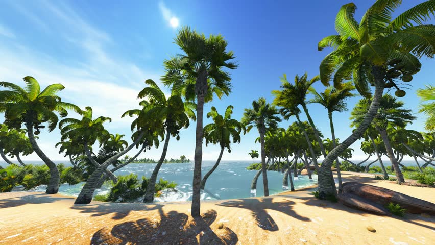 Awesome Sunset On Hawaii Stockvideoklipp Helt Royaltyfria Shutterstock