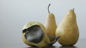Pear with peduncle on the table 4K 2160p UltraHD tilting footage - Close-up of organic fruit from genus Pyrus slow tilt 3840X2160 UHD video