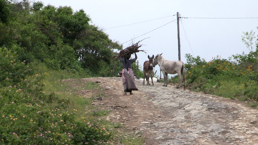 African woman carrying wood on her head up a rural dirt road.