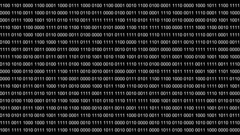 Abstract background or foreground with binary code. Digits 0 1 changes randomly. Alpha channel transparent background.