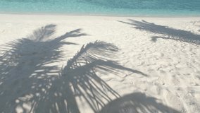 Shadows of coconut palms on white sand beach. Maldives. UHD 4k video