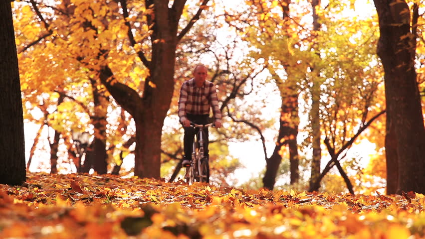 
Man ride bicycle  in beautiful autumn park with yellow leaves

