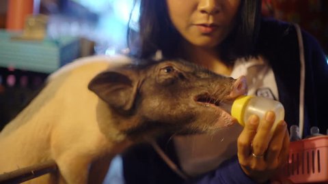 Happy Asian Girl feeding piglet with milk from a bottle 4k UHD (3840x2160)
