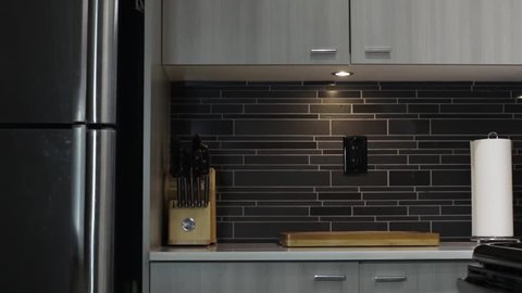 Clean elegant modern kitchen