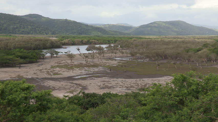Interior view of the Transkei showing a river floodplain. 