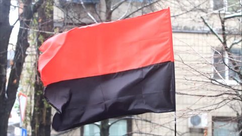 Flag Ukrainian Insurgent Army Redblack Fluttering Stock Footage Video ...