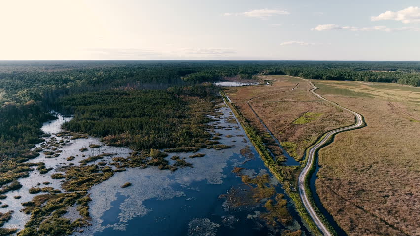 Aerial Drone Dirt Road Alongside Abandoned Cranberry Bog in Southern New Jersey