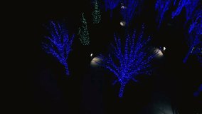 Aerial view of trees covered with Christmas lights