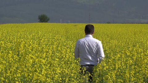 Businessman walking with back in blossom rape field