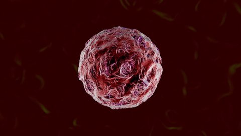 3D rendered Animation of a morphing Cancer Cell.
