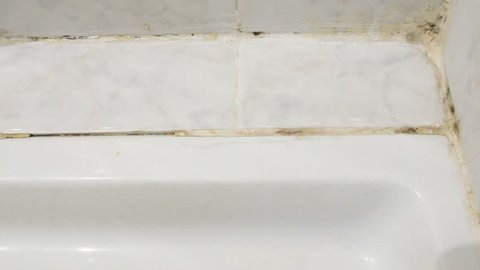 Cleaning moldy tile with a toothbrush at bathroom