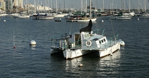 Boats in the harbor and marina on San Diego Bay in California USA