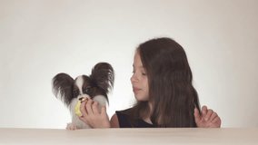 Beautiful teen girl and dog Continental Toy Spaniel Papillon eating tasty fresh red apple on a white background stock footage video.