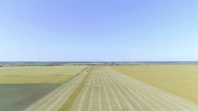 Flight over harvester soybean field aerial view 4k video. Harvest agriculture farm rural landscape. Legume farming production: combine crops soya bean plant