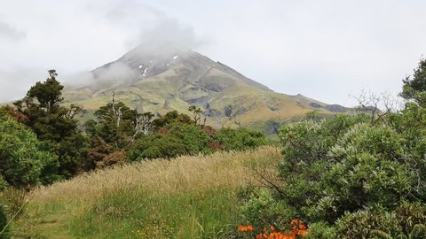  Meadow and Taranaki  - Taranaki / Mt Egmont National Park, New Zealand