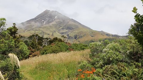 Summer in Taranaki   - Taranaki / Mt Egmont National Park, New Zealand