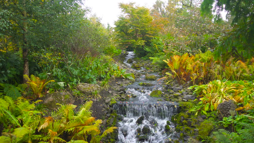 Beautiful Waterfall in Royal Botanic Garden in Edinburgh, Scotland Royalty-Free Stock Footage #33528343