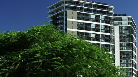 Highrise apartment building behind a tree