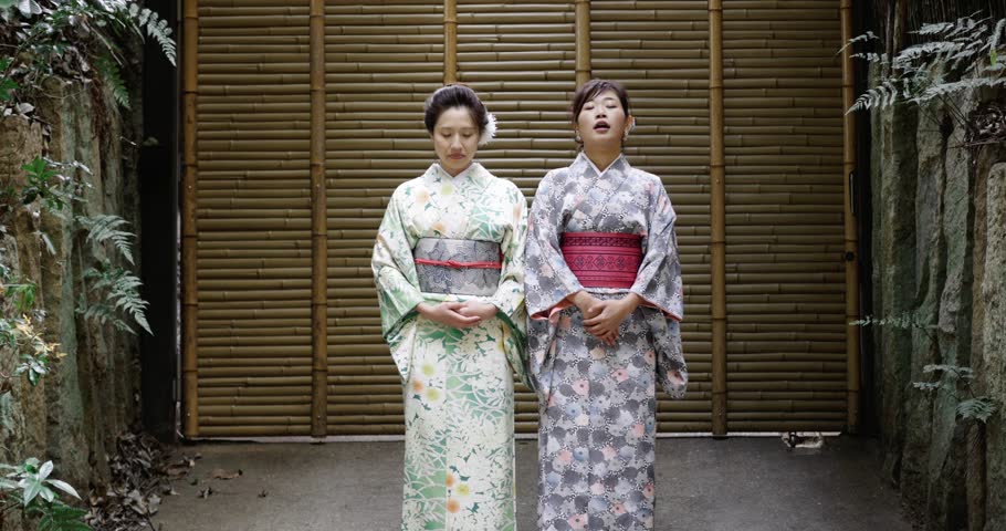 Bowing Japanese women in beautiful kimono.  Royalty-Free Stock Footage #33541264