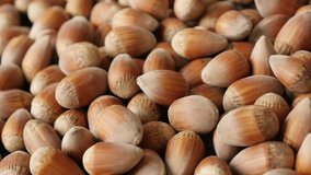 Slow pan on ripe hazelnuts on the table 4K 2160p 30fps UHD footage - Food background with Corylus avellana heap 3840X2160 UltraHD panning video
