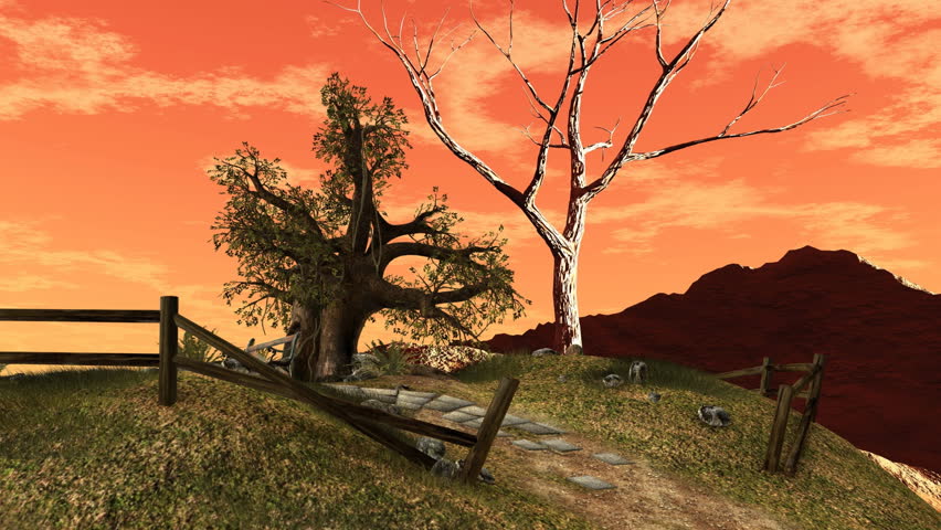 Rural scenery  (mountains visible with solitary tree)