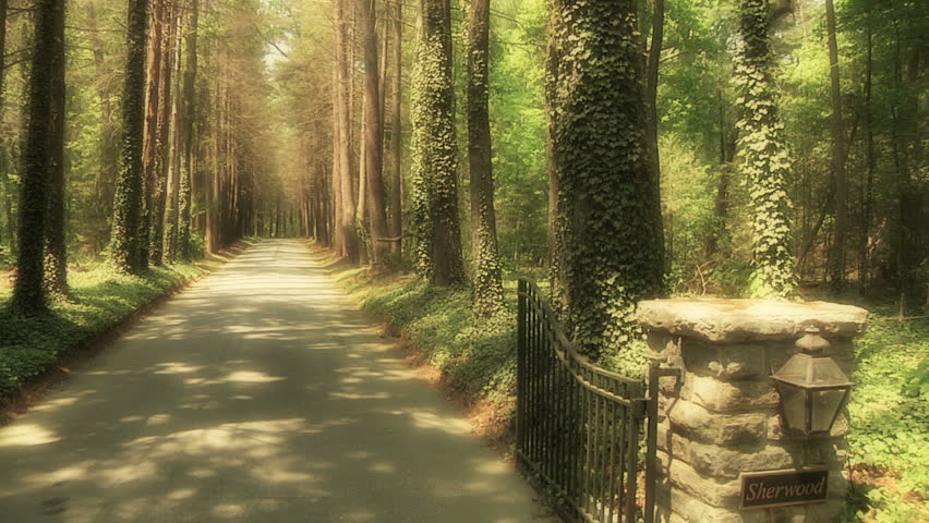 Elegant entrance with tree lined drive to luxury neighborhood in the mountains of Flat Rock North Carolina 