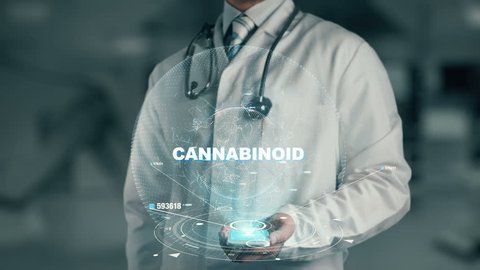 Doctor holding in hand Cannabinoid