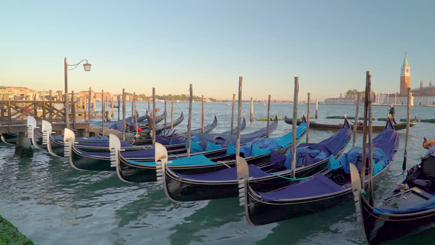 Lots of gondolas docking on the Venice canal being tied on the poles while not cruising the seain Venice Italy