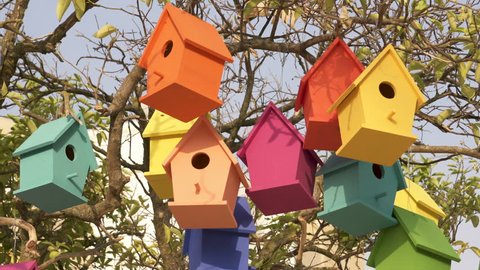 Colorful Wooden Bird Houses On the tree. Illustrate housing problem and mortgage loan