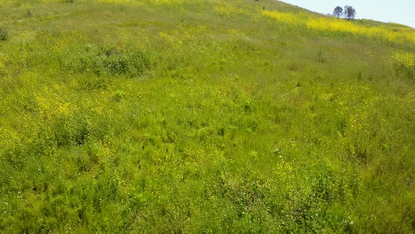 San Diego - Los Penasquitos Trail - Drone Video
Aerial video of Los Penasquitos is a fun place because its so large. Trails run along both the north and south sides of the creek