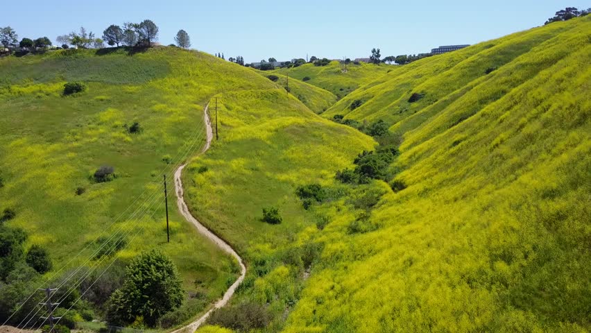 San Diego - Los Penasquitos Trail - Drone Video
Aerial video of Los Penasquitos is a fun place because its so large. Trails run along both the north and south sides of the creek