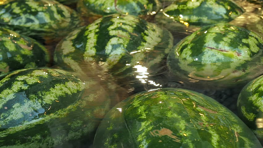 Lot of watermelons lies in the water. Summer fruits background | Shutterstock HD Video #33612148