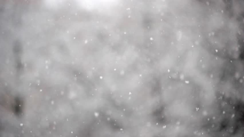 Winter Snowfall. Snow Slow Motion 库存影片视频（100% 免版税 
