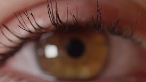 MACRO DOF: Mascara wearing girl with pretty amber eyes stares without blinking. Camera shifts focus from long black lashes to colorful brown iris. Unrecognizable woman with brown eyes looking ahead. - Powered by Shutterstock - Get 15% off with code: PIKWIZARD15